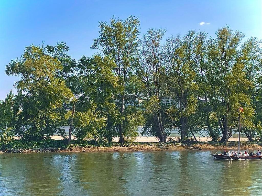 Apartament Le Petit Orleanais Zewnętrze zdjęcie